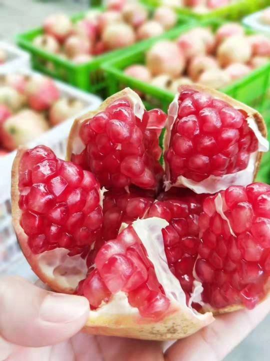 山竹是什么季节的水果（水果蔬菜自然成熟的时间表）