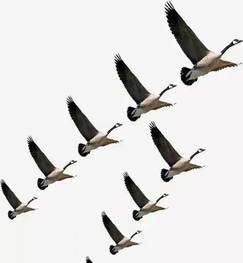 雷锋是怎么死的，为什么非要把白素贞压在雷锋塔里呢？就不能有一个完美的结局吗？图5