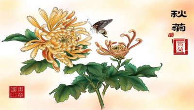 ​重阳节来历和节日风俗的作文 重阳节来历和节日风俗幼儿园