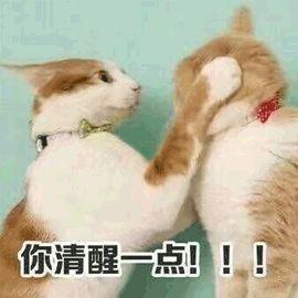 手表维修小常识（手表维修时该注意哪些事项）(9)