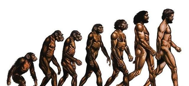 夜间出行的动物，有人说老虎常夜间行走潮湿阴暗山林，却几乎没有得风湿的先例，是因为它们有抗体吗？图5