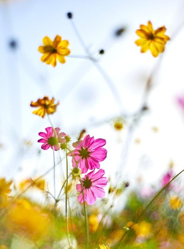 哪些励志格言,可以让你脱胎换骨的话图4