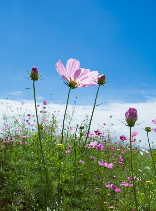 哪些励志格言,可以让你脱胎换骨的话图5