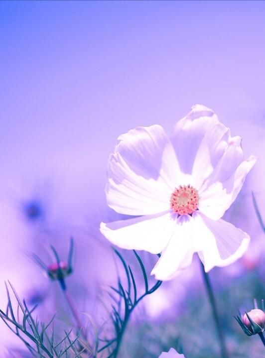 哪些励志格言,可以让你脱胎换骨的话图8