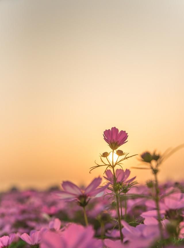 哪些励志格言,可以让你脱胎换骨的话图6