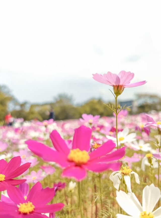 哪些励志格言,可以让你脱胎换骨的话图9