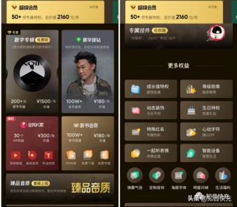 ​超级会员多少钱（QQ音乐超级会员和豪华绿砖的区别）