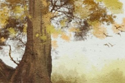 ​异地分手后复合黄金期，把握好时机复合不难