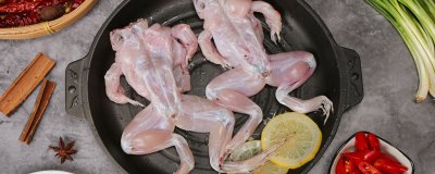 ​田鸡是保护动物吗