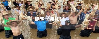 ​抓鸭子抓几只