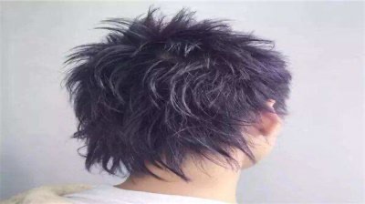 网络图片(侵删)