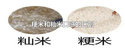 ​粳米和籼米口感的区别