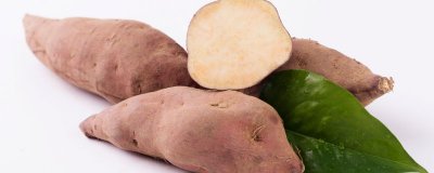 ​木薯是什么植物