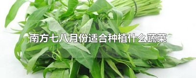 ​南方七八月份适合种植什么蔬菜