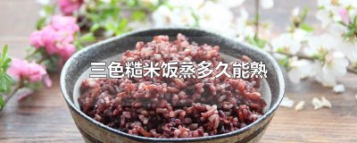 ​三色糙米饭蒸多久能熟