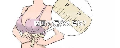 ​胸围95是多大罩杯?