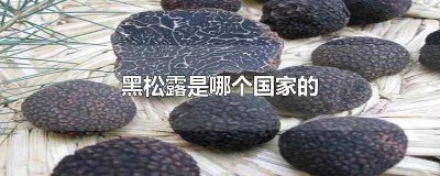 ​黑松露的原产地 黑松露哪国最好