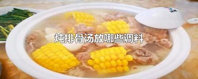 ​炖排骨汤放哪些调料