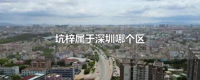 ​坑梓属于深圳哪个区