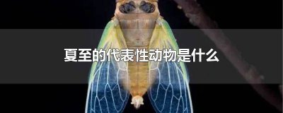 ​夏至指什么动物生肖 夏至指什么动物和生肖