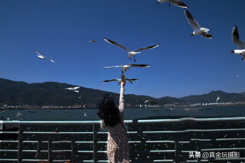 娶妻首选山东女，娶过你一辈子不后悔