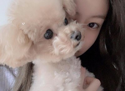 ​粉红玫瑰代表什么，粉红玫瑰代表什么意思花语