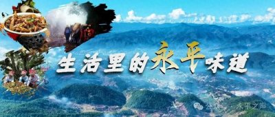 ​生活里的永平味道｜夜鹭自由飞翔！县林草局放归国家二级保护野生动物