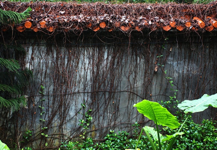广西容县真武阁：江南四大名楼之一，堪称中国建筑奇迹