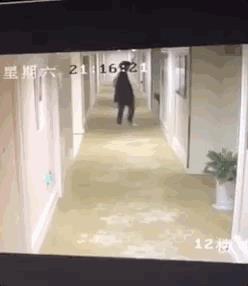 小鲜肉私下变身小野兽酒店私会!娱乐圈明星私生活到底有多迷乱!