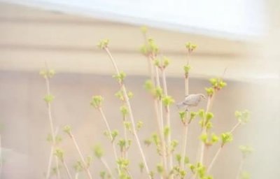 ​801胶水可以粘哪些材料塑料和瓷器是否能用801粘接