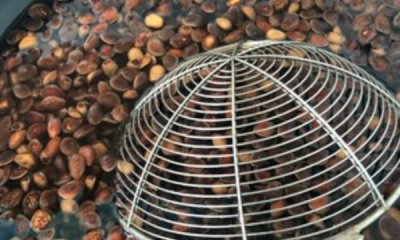 ​生松子怎么炒开口,生松子怎么炒熟并开口的微波炉