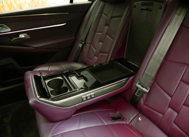 法系ds9是什么车（法系豪车DS924.99万起）(11)