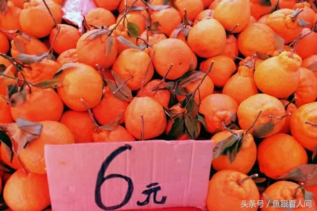 丑橘是凉性的还是热性的-（丑桔是凉性还是热性）