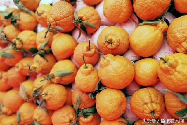 丑橘是凉性的还是热性的-（丑桔是凉性还是热性）