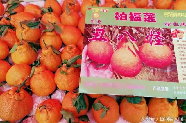 丑橘是凉性的还是热性的-（丑桔是凉性还是热性）