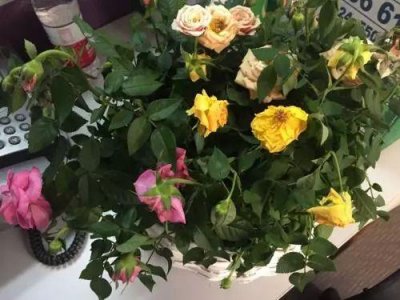 ​已经蔫了的鲜花怎么恢复？方法在这里！