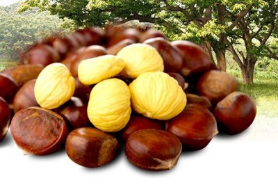 ​板栗没有毛能吃吗 陈年板栗不要买