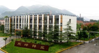 ​陕西东岭集团：东出天下敢为人先 村企合一勇往直前