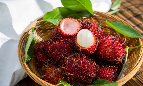红毛丹是荔枝,红毛丹是不是荔枝的一种图5