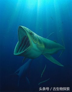 ​利兹鱼：硬骨鱼之王