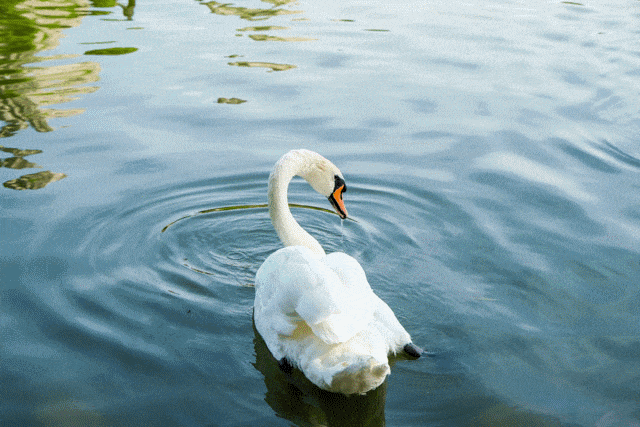 富士相机各系列介绍（从X100到GFX100S富士相机的10年进化史）(17)