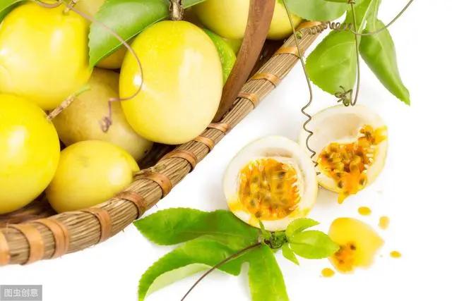 花钟里有什么花分别在几点开(看看哪朵花开了就知道)(69)