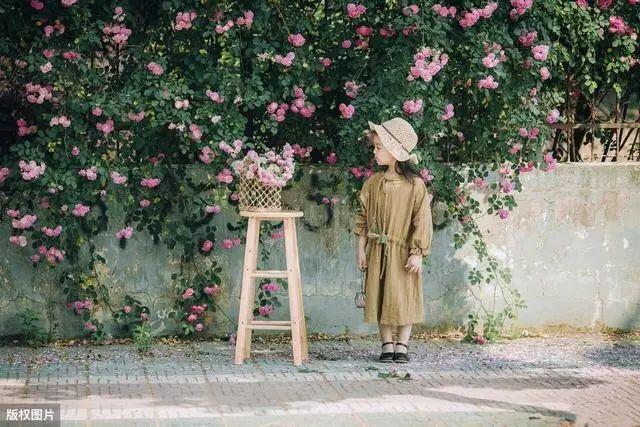 花钟里有什么花分别在几点开(看看哪朵花开了就知道)(10)