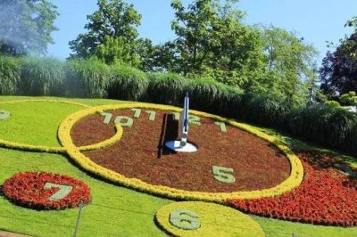 ​花钟里有什么花分别在几点开（看看哪朵花开了就知道）