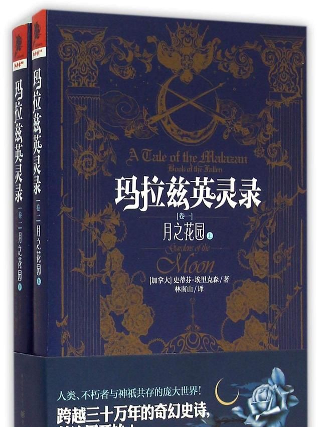斑马线与斑马有什么关系蚂蚁庄园，斑马线的来源是什么？图33
