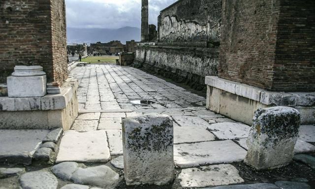 斑马线与斑马有什么关系蚂蚁庄园，斑马线的来源是什么？图1