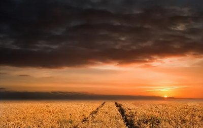 ​四月十八是“祈嗣日”，下雨好还是晴天好？看看农谚怎么说