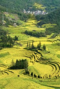 ​DeepSeek推荐三月的10个最佳旅行地