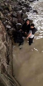 ​快递员到底是一份怎样的工作（下）：穿过山林、街巷，他们看见了烟火人间