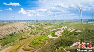 北方小城甘肃环县：何以迎“风”追“光”撬动新能源经济